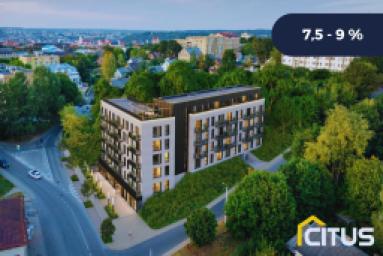 UTIISIB UAB Demus Development I logo