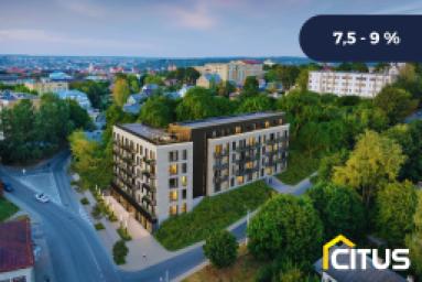 UTIISIB UAB Demus Development I logo