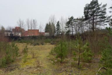 UAB Demus Development X logo