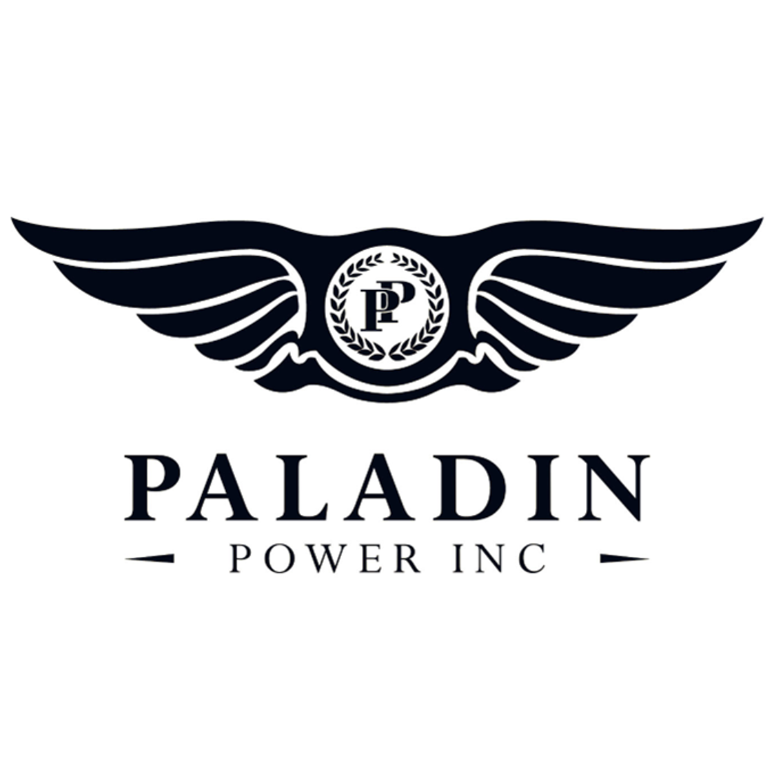 Paladin Power, Inc. logo