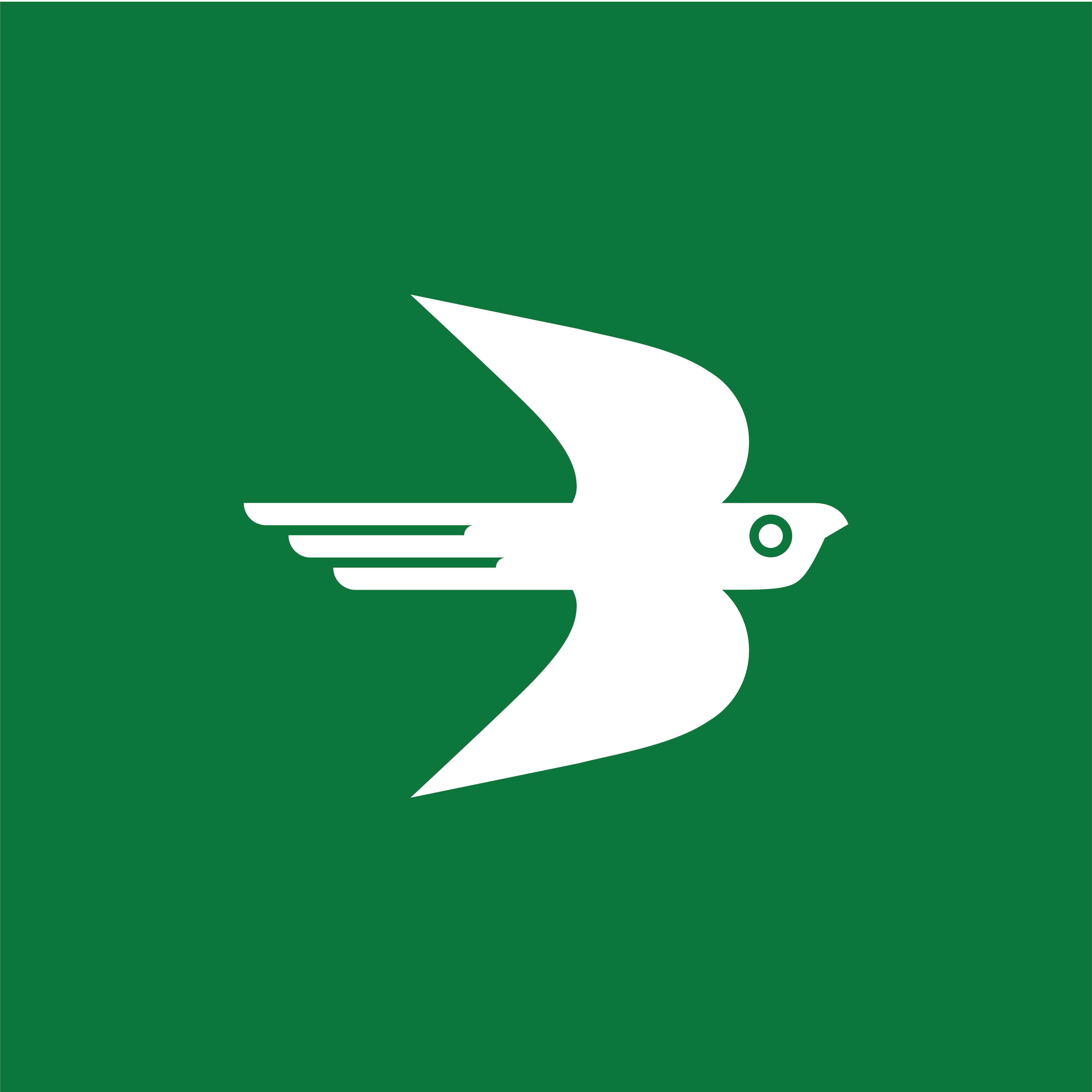 El Condor, LLC logo