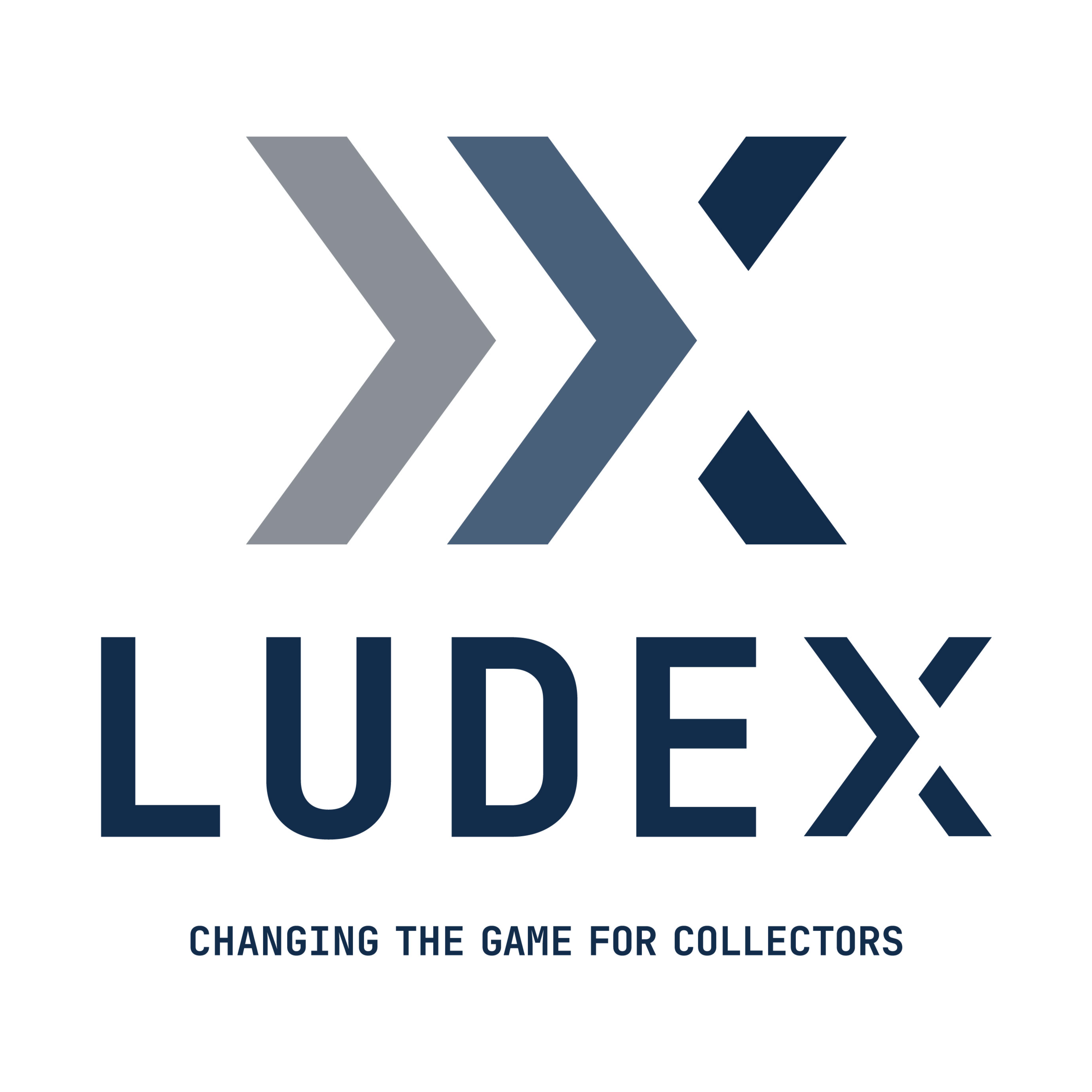 Ludex, LLC logo